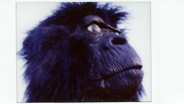  I Did Not Have Sexual Relations With That Woman . Irena Kalicka