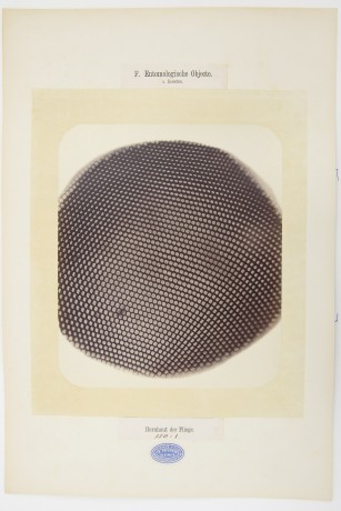 Wojciech Nowicki   Radiation 