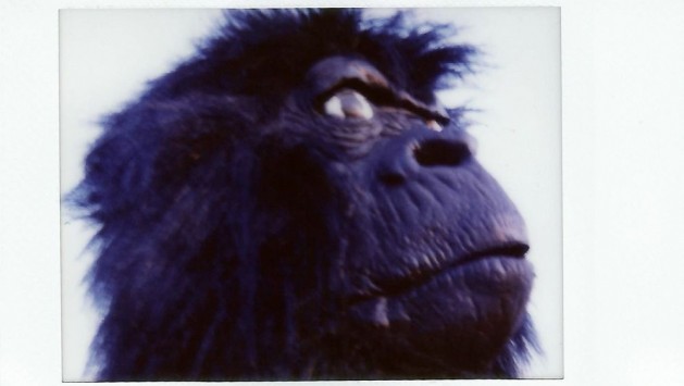  I Did Not Have Sexual Relations With That Woman . Irena Kalicka