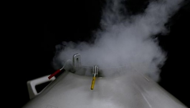 Yann Mingard, Lars Willumeit