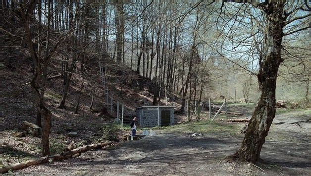  Powrót do źródła . Lucian Bran