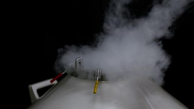 Yann Mingard, Lars Willumeit